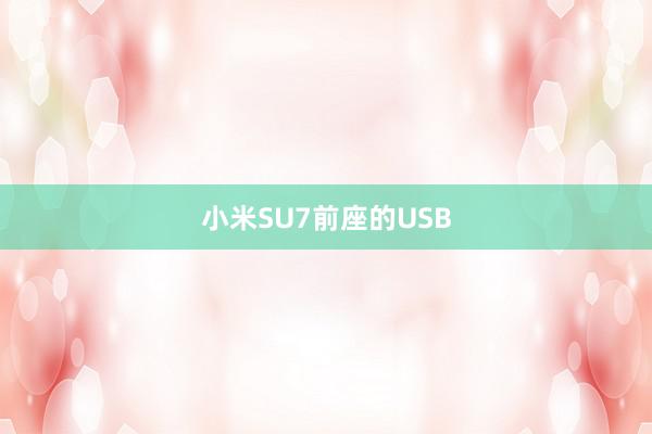 小米SU7前座的USB