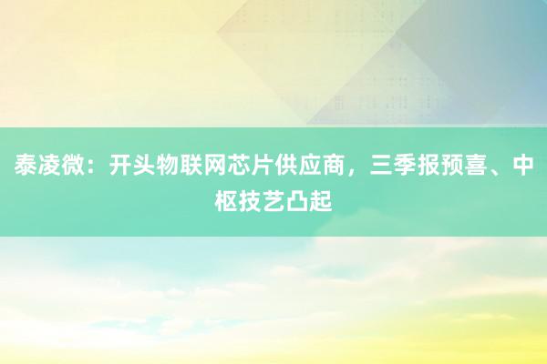 泰凌微：开头物联网芯片供应商，三季报预喜、中枢技艺凸起