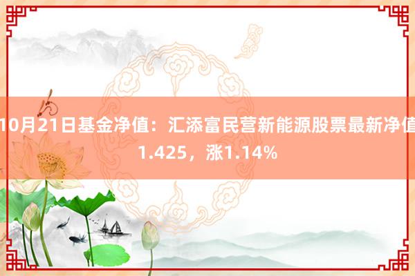 10月21日基金净值：汇添富民营新能源股票最新净值1.425，涨1.14%